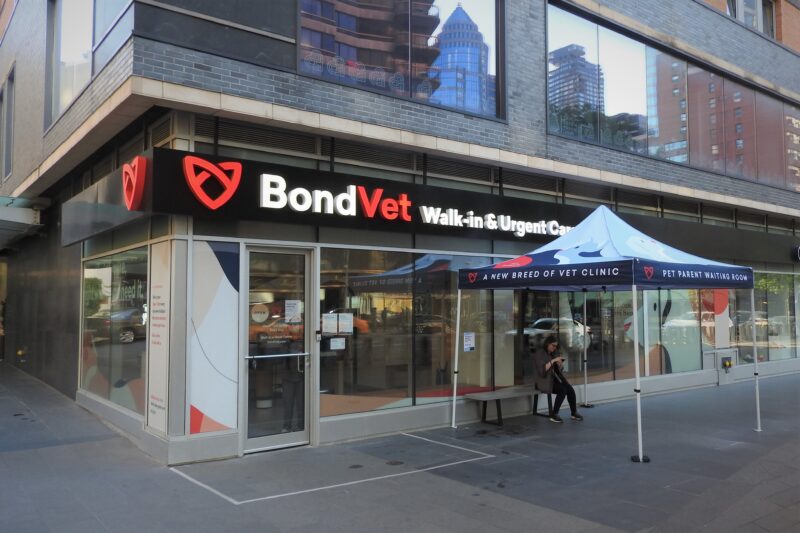 Vet Reception Introduces ‘Animal Context Questionnaire’ So Owners Can Explain The Whole Situation Before Saying What’s Wrong