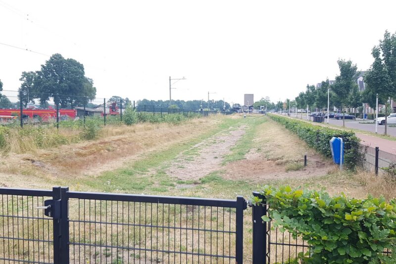 Dog Park Forms ‘Civic Dog Forum’ To Review Whether Dogs Are Playing Correctly