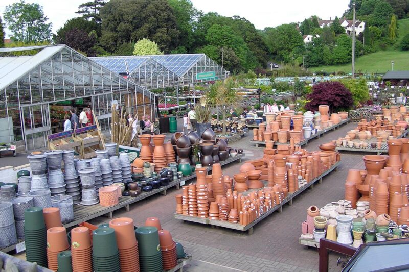 Garden Centre Introduces ‘Pot Compatibility Test’ To Help Customers Choose The Correct Succulent