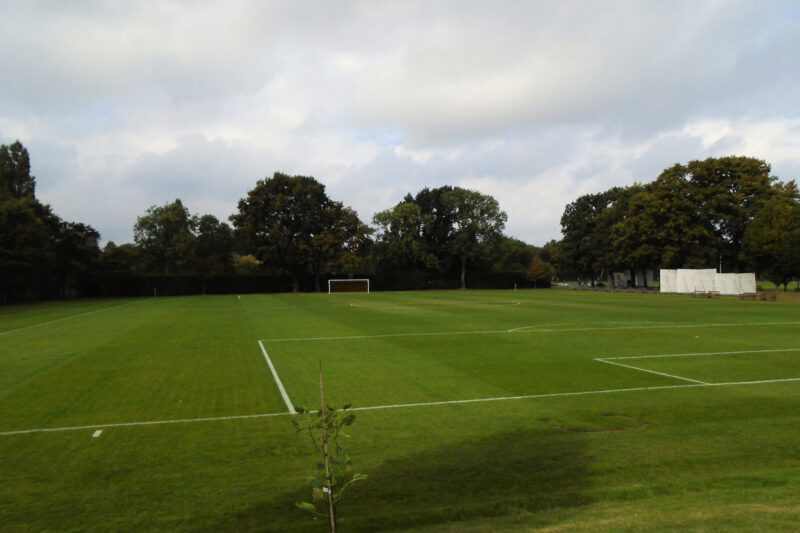 Amateur Football League Introduces Player Availability Framework After Finding Most Fixture Responses Qualify As ‘Probably’